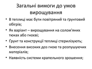 Загальні вимоги до умов
вирощування
• В теплиці має бути повітряний та ґрунтовий
обігрів;
• Як варіант – вирощування на солом'яних
тюках або гноєві;
• Ґрунт та конструкції теплиці стерилізують;
• Внесення високих доз гною та розпушуючих
матеріалів;
• Наявність системи крапельного зрошення;
 