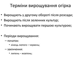 Терміни вирощування огірка
• Вирощують у другому обороті після розсади;
• Вирощують після зеленних культур;
• Починають вирощувати першою культурою;
• Періоди вирощування:
– початок:
• кінець лютого – червень;
– закінчення:
• липень – жовтень;
 