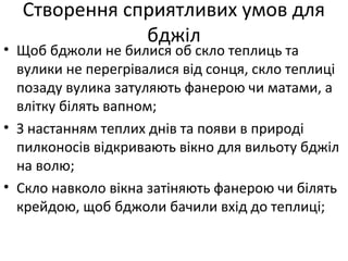 Створення сприятливих умов для
бджіл
• Щоб бджоли не билися об скло теплиць та
вулики не перегрівалися від сонця, скло теплиці
позаду вулика затуляють фанерою чи матами, а
влітку білять вапном;
• З настанням теплих днів та появи в природі
пилконосів відкривають вікно для вильоту бджіл
на волю;
• Скло навколо вікна затіняють фанерою чи білять
крейдою, щоб бджоли бачили вхід до теплиці;
 