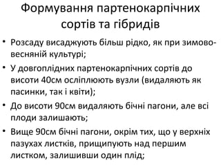 Формування партенокарпічних
сортів та гібридів
• Розсаду висаджують більш рідко, як при зимово-
весняній культурі;
• У довгоплідних партенокарпічних сортів до
висоти 40см осліплюють вузли (видаляють як
пасинки, так і квіти);
• До висоти 90см видаляють бічні пагони, але всі
плоди залишають;
• Вище 90см бічні пагони, окрім тих, що у верхніх
пазухах листків, прищипують над першим
листком, залишивши один плід;
 