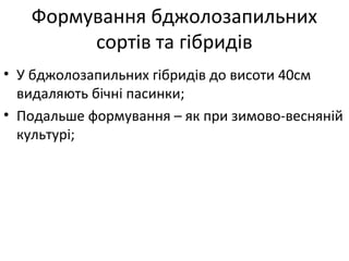 Формування бджолозапильних
сортів та гібридів
• У бджолозапильних гібридів до висоти 40см
видаляють бічні пасинки;
• Подальше формування – як при зимово-весняній
культурі;
 