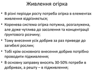 Живлення огірка
• В різні періоди росту потреба огірка в елементах
живлення відрізняється;
• Коренева система огірка потужна, розгалужена,
але дуже чутлива до засолення та концентрації
ґрунтового розчину;
• Тому внесення усіх добрив за раз приведе до
загибелі рослин;
• Тобі крім основного внесення добрив потрібно
проводити підживлення;
• В основну заправку вносять 30-50% потреби в
добривах, а решту – в підживлення;
 