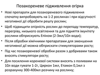 Позакореневе підживлення огірка
• Нові препарати для позакореневого підживлення
спочатку випробовують на 1-2 рослинах і при відсутності
негативної дії обробити решту рослин;
• Щоб підвищити опірність рослин до перепаду температур,
перегріву, низького освітлення та для підняття імунітету
рослини обприскують Епіном (2-3мл/10л води);
• Після обробки хімічними препаратами для зменшення
негативної дії можна обприскати стимуляторами росту;
• Під час позакореневої обробки разом з добривами також
вносять стимулятори росту;
• Для посилення кореневої системи вносять з поливами на
10л води гумати 1-2г, Циркон 1мл, Етамон 0,1мл з
розрахунку 300-400мл розчину на рослину;
 