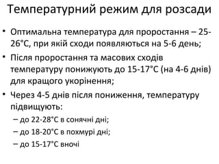 Температурний режим для розсади
• Оптимальна температура для проростання – 25-
26°С, при якій сходи появляються на 5-6 день;
• Після проростання та масових сходів
температуру понижують до 15-17°С (на 4-6 днів)
для кращого укорінення;
• Через 4-5 днів після пониження, температуру
підвищують:
– до 22-28°С в сонячні дні;
– до 18-20°С в похмурі дні;
– до 15-17°С вночі
 