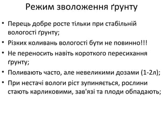 Режим зволоження ґрунту
• Перець добре росте тільки при стабільній
вологості ґрунту;
• Різких коливань вологості бути не повинно!!!
• Не переносить навіть короткого пересихання
ґрунту;
• Поливають часто, але невеликими дозами (1-2л);
• При нестачі вологи ріст зупиняється, рослини
стають карликовими, зав'язі та плоди обпадають;
 