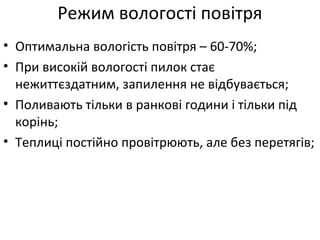Режим вологості повітря
• Оптимальна вологість повітря – 60-70%;
• При високій вологості пилок стає
нежиттєздатним, запилення не відбувається;
• Поливають тільки в ранкові години і тільки під
корінь;
• Теплиці постійно провітрюють, але без перетягів;
 