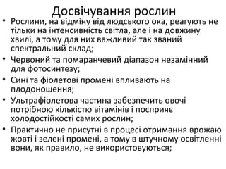 • Рослини, на відміну від людського ока, реагують не
тільки на інтенсивність світла, але і на довжину
хвилі, а тому для них важливий так званий
спектральний склад;
• Червоний та помаранчевий діапазон незамінний
для фотосинтезу;
• Сині та фіолетові промені впливають на
плодоношення;
• Ультрафіолетова частина забезпечить овочі
потрібною кількістю вітамінів і посприяє
холодостійкості самих рослин;
• Практично не присутні в процесі отримання врожаю
жовті і зелені промені, а тому в штучному освітленні
вони, як правило, не використовуються;
Досвічування рослин
 
