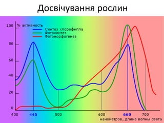 Досвічування рослин
 