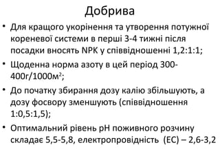 • Для кращого укорінення та утворення потужної
кореневої системи в перші 3-4 тижні після
посадки вносять NPK у співвідношенні 1,2:1:1;
• Щоденна норма азоту в цей період 300-
400г/1000м2
;
• До початку збирання дозу калію збільшують, а
дозу фосвору зменшують (співвідношення
1:0,5:1,5);
• Оптимальний рівень рН поживного розчину
складає 5,5-5,8, електропровідність (ЕС) – 2,6-3,2
Добрива
 