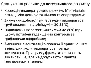 • Корекція температурного режиму. Мінімізація
різниці між денною та нічною температурами;
• Зниження добової температури (температура
труб опалення на мінімумі – 30-35°С);
• Підвищення вологості максимум до 80% (при
цьому потрібен підвищений контроль за
грибковими хворобами;
• Зменшення вентиляції з повним її припиненням
в кінці дня, коли температура повітря
знижується. При цьому фрамуги закривають
якнайраніше, але не допускають підняття
температури в теплиці;
Спонукання рослини до вегетативного розвитку
 