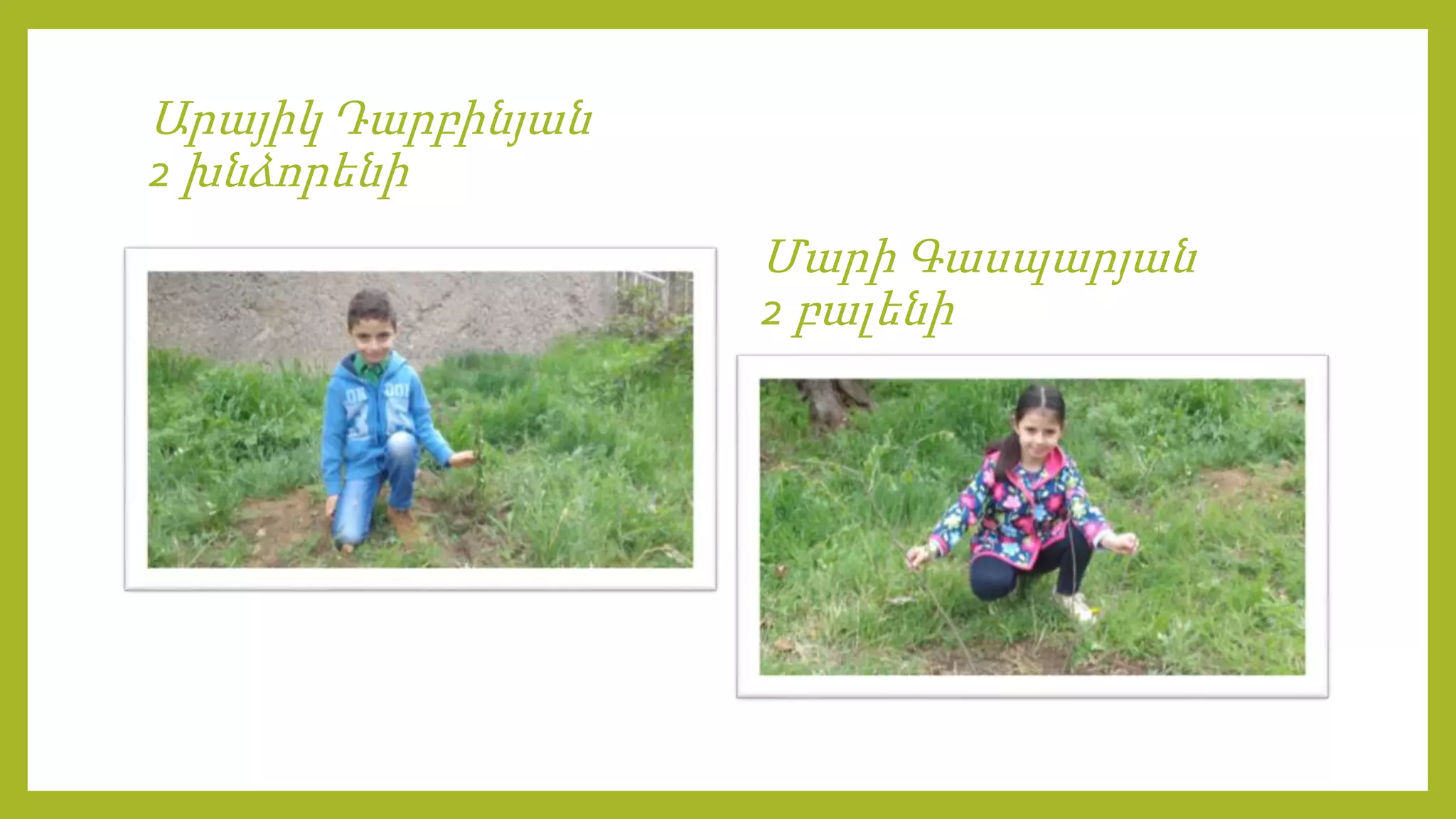 Արայիկ Դարբինյան
2 խնձորենի
Մարի Գասպարյան
2 բալենի
 