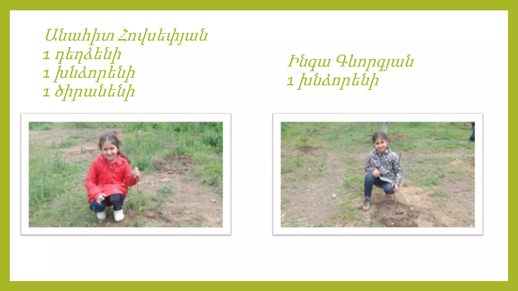 Անահիտ Հովսեփյան
1 դեղձենի
1 խնձորենի
1 ծիրանենի
Ինգա Գևորգյան
1 խնձորենի
 