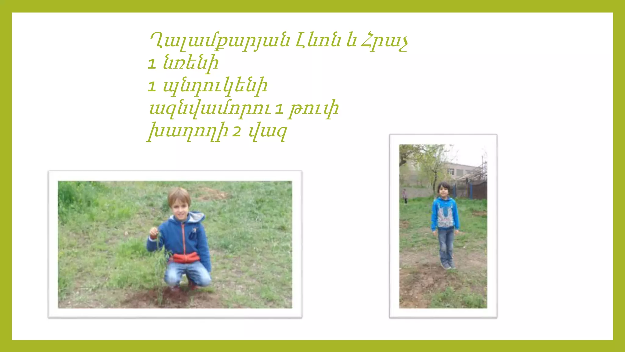 Ղալամքարյան Լևոն և Հրաչ
1 նռենի
1 պնդուկենի
ազնվամորու 1 թուփ
խաղողի 2 վազ
 