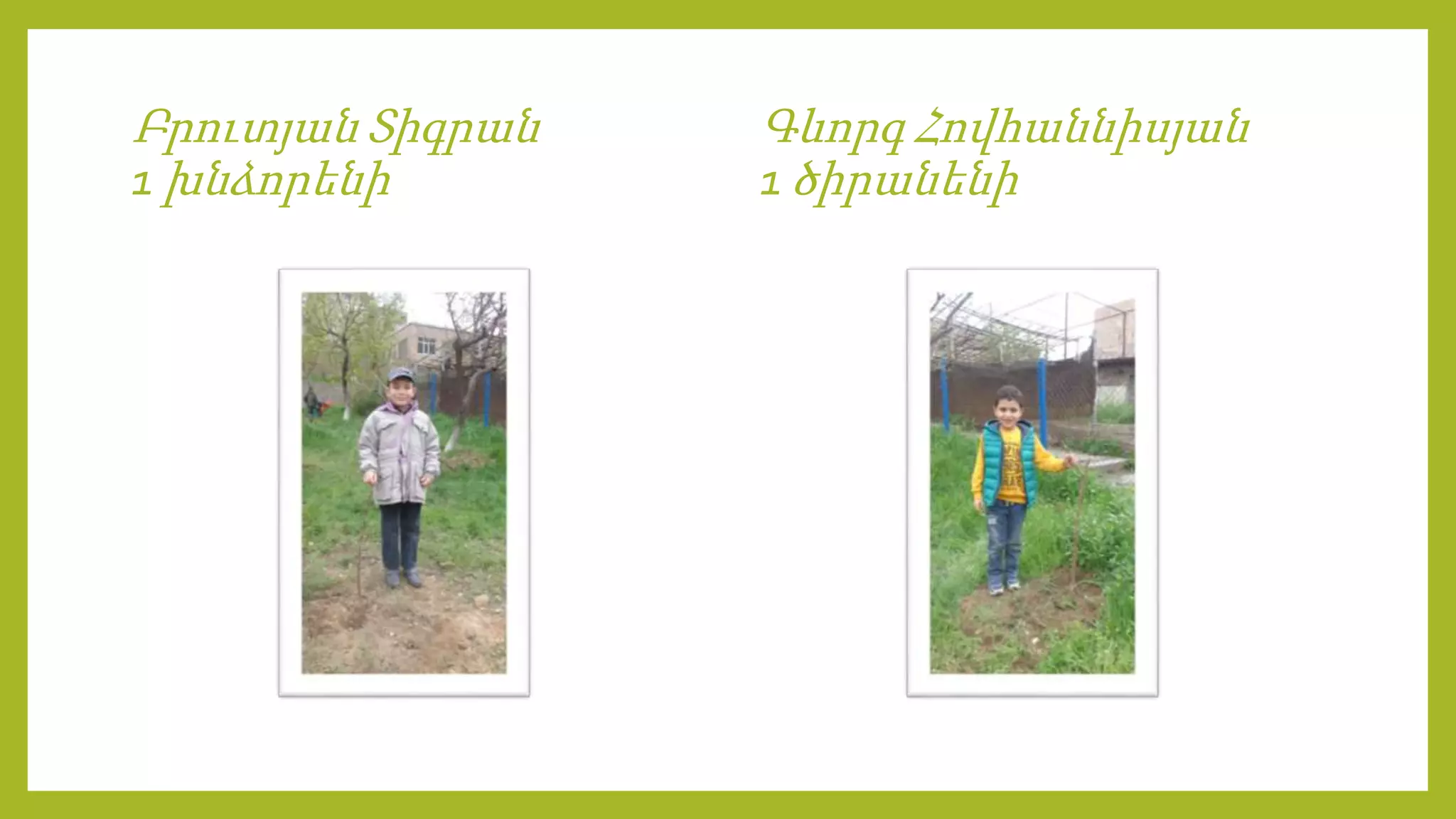 Բրուտյան Տիգրան
1 խնձորենի
Գևորգ Հովհաննիսյան
1 ծիրանենի
 