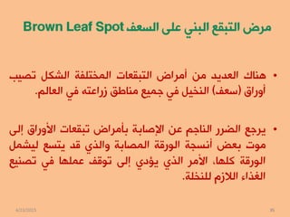 المكافحة المتكاملة لامراض النخيل الفطرية