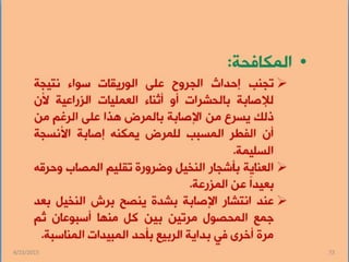 المكافحة المتكاملة لامراض النخيل الفطرية