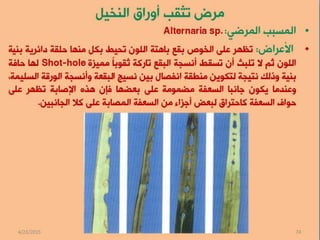 المكافحة المتكاملة لامراض النخيل الفطرية