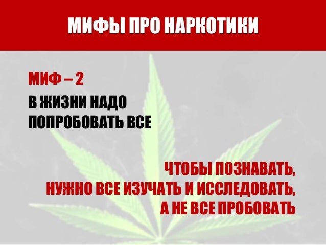 Правда о разрешенных наркотиках Правда о разрешенных наркотиках подключение к сети тор браузер