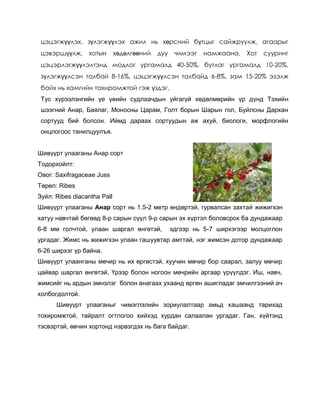 цэцэгжүүлэх, зүлэгжүүлэх ажил нь хөрсний бүтцыг сайжруулж, агаарыг
цэвэршүүлж, хотын хөдөлгөөний дуу чимээг намжаана. Хот сууринг
цэцэрлэгжүүлэлтэнд модлог ургамалд 40-50%, бутлаг ургамалд 10-20%,
зүлэгжүүлсэн талбай 8-16%, цэцэгжүүлсэн талбайд 6-8%, зам 15-20% эзэлж
байх нь хамгийн тохиромжтой гэж үздэг.
Тус хүрээлэнгийн үе үеийн судлаачдын уйгагүй хөдөлмөрийн үр дүнд Тэхийн
шээгний Анар, Баялаг, Моносны Царам, Голт борын Шарын гол, Буйлсны Дархан
сортууд бий болсон. Иймд дараах сортуудын аж ахуй, биологи, морфлогийн
онцлогоос танилцуулъя.
Шивүүрт улааганы Анар сорт
Тодорхойлт:
Овог: Saxifragaceae Juss
Төрөл: Ribes
Зүйл: Ribes diacantha Pall
Шивүүрт улааганы Анар сорт нь 1.5-2 метр өндөртэй, гурвалсан захтай жижигхэн
хатуу навчтай бөгөөд 8-р сарын сүүл 9-р сарын эх хүртэл боловсрох ба дундажаар
6-8 мм голчтой, улаан шаргал өнгөтэй, эдгээр нь 5-7 ширхэгээр молцоглон
ургадаг. Жимс нь жижигхэн улаан гашуувтар амттай, нэг жимсэн дотор дундажаар
6-26 ширхэг үр байна.
Шивүүрт улаанганы мөчир нь их өргөстэй, хуучин мөчир бор саарал, залуу мөчир
цайвар шаргал өнгөтэй. Үрээр болон ногоон мөчрийн аргаар үрүүлдэг. Иш, навч,
жимсийг нь ардын эмнэлэг болон анагаах ухаанд өргөн ашигладаг эмчилгээний ач
холбогдолтой.
Шивүүрт улааганыг чимэглэлийн зориулалтаар амьд хашаанд тарихад
тохиромжтой, тайралт огтлогоо хийхэд хурдан салаалан ургадаг. Ган, хүйтэнд
тэсвэртэй, өвчин хортонд нэрвэгдэх нь бага байдаг.
 