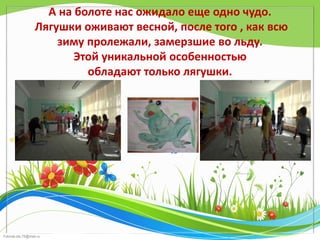 FokinaLida.75@mail.ru
А на болоте нас ожидало еще одно чудо.
Лягушки оживают весной, после того , как всю
зиму пролежали, замерзшие во льду.
Этой уникальной особенностью
обладают только лягушки.