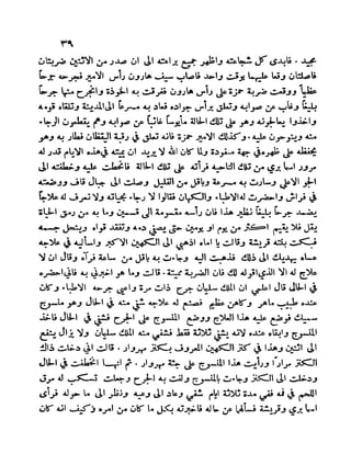 سيرة الأمير حمزة البهلوان الجزء الثالث