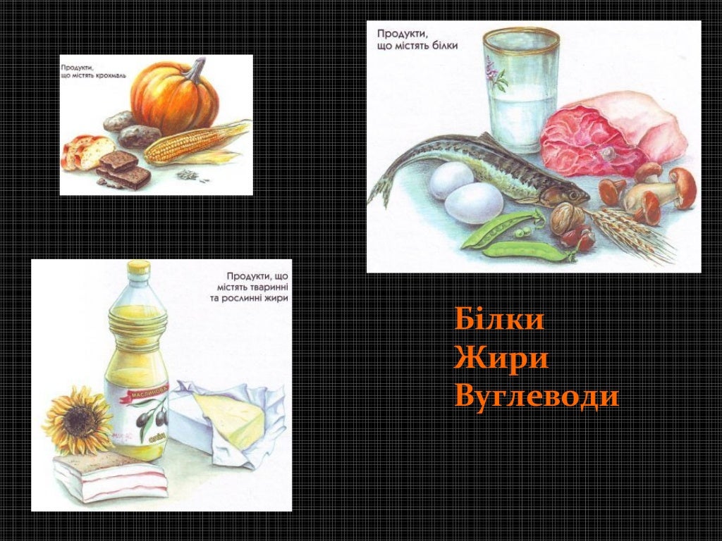 Вуглеводи, жири, білки, вітаміни як компоненти їжі, їх роль в організ…