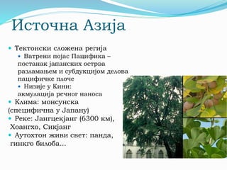 Азија | PPT
