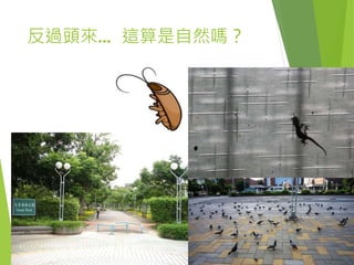 反過頭來… 這算是自然嗎？
 