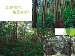 都是植物…
誰是自然?
 
