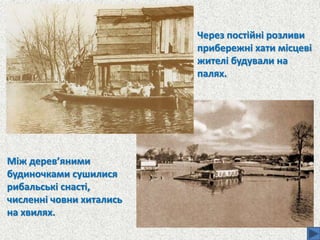 Між дерев’яними
будиночками сушилися
рибальські снасті,
численні човни хитались
на хвилях.
Через постійні розливи
прибережні хати місцеві
жителі будували на
палях.
 