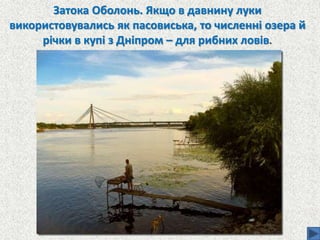 Затока Оболонь. Якщо в давнину луки
використовувались як пасовиська, то численні озера й
річки в купі з Дніпром – для рибних ловів.
 