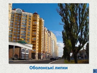 Оболонські липки
 