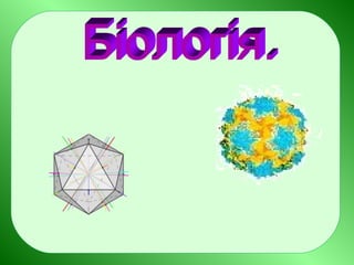 багатогранники
