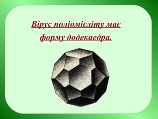 Вірус поліомієліту має
форму додекаедра.
 