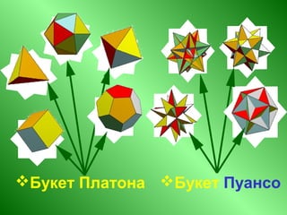 Букет ПуансоБукет Платона
 