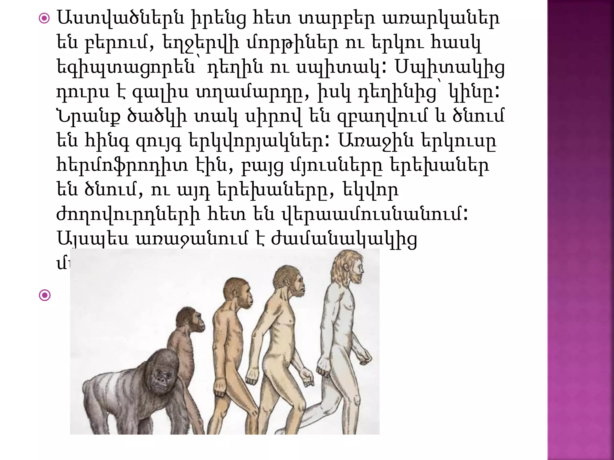  Աստվածներն իրենց հետ տարբեր առարկաներ
են բերում, եղջերվի մորթիներ ու երկու հասկ
եգիպտացորեն՝ դեղին ու սպիտակ։ Սպիտակից
դուրս է գալիս տղամարդը, իսկ դեղինից՝ կինը։
Նրանք ծածկի տակ սիրով են զբաղվում և ծնում
են հինգ զույգ երկվորյակներ։ Առաջին երկուսը
հերմոֆրոդիտ էին, բայց մյուսները երեխաներ
են ծնում, ու այդ երեխաները, եկվոր
ժողովուրդների հետ են վերաամուսնանում։
Այսպես առաջանում է ժամանակակից
մարդկությունը։

 