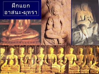 ฝึกแยก
อาสนะ-มุทรา
 