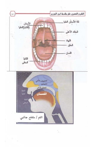 الشرح العصري على مقدمة ابن الجزري
