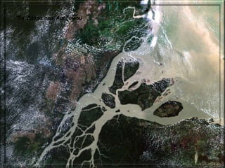 Το Δέλτα του Αμαζόνιου
 