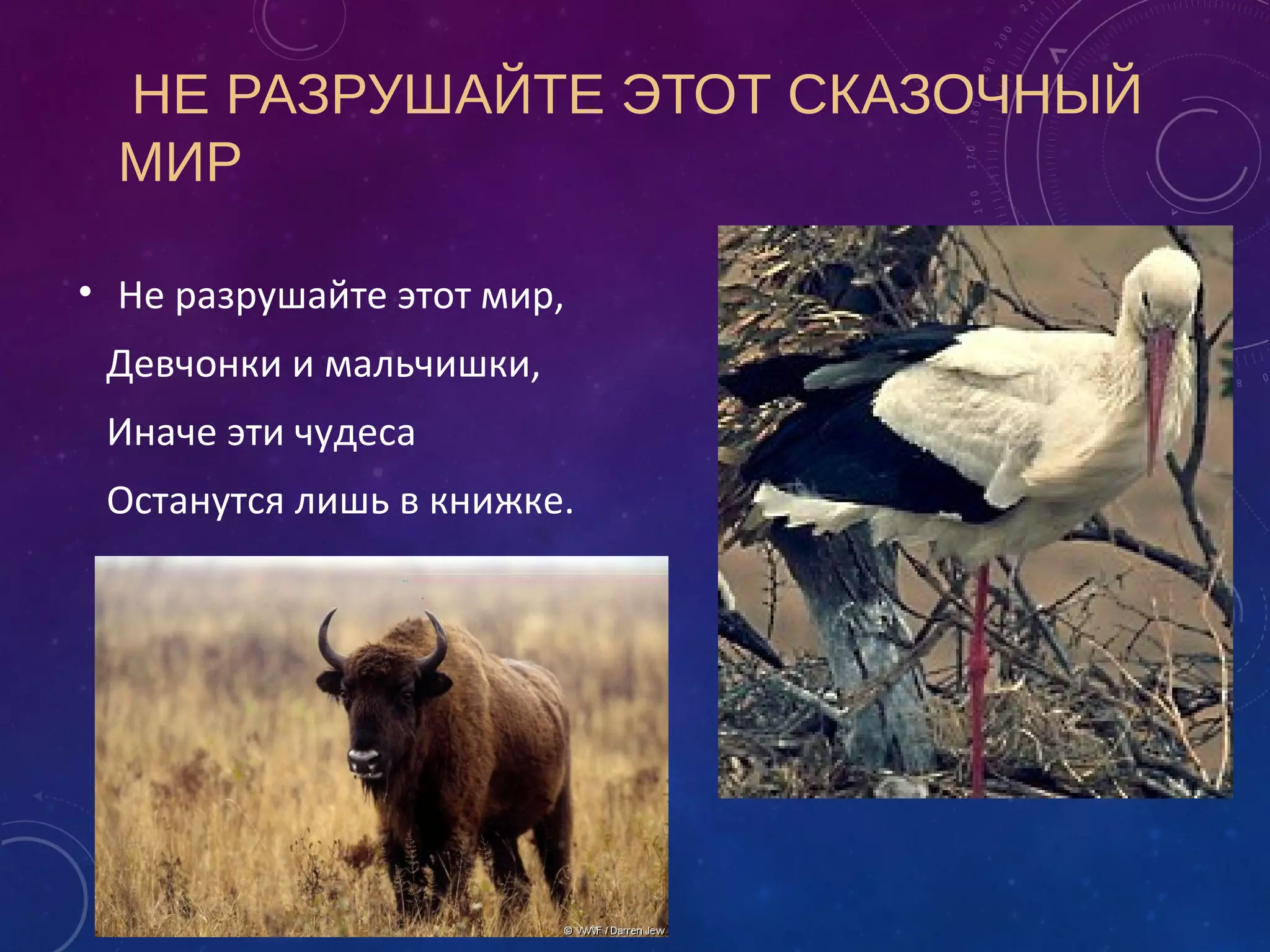 НЕ РАЗРУШАЙТЕ ЭТОТ СКАЗОЧНЫЙ
МИР
• Не разрушайте этот мир,
Девчонки и мальчишки,
Иначе эти чудеса
Останутся лишь в книжке.
 