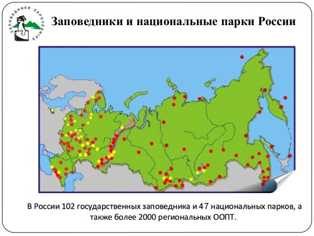 фото заповедники и национальные парки россии онлайн