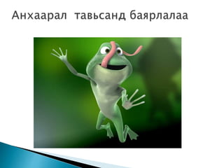 модны мэлхий 