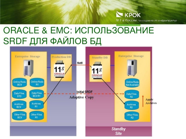 Проект oracle. Функции oracle.