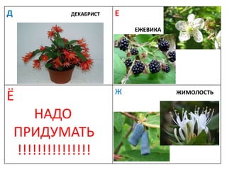 Д ДЕКАБРИСТ Е
ЕЖЕВИКА
Ё
НАДО
ПРИДУМАТЬ
!!!!!!!!!!!!!!!
Ж ЖИМОЛОСТЬ
 