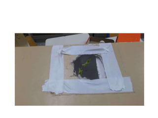 Φωτοτροπισμός   σκοτεινός λαβύρινθος