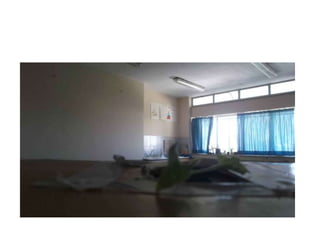 Φωτοτροπισμός   σκοτεινός λαβύρινθος