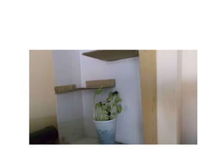 Φωτοτροπισμός   σκοτεινός λαβύρινθος