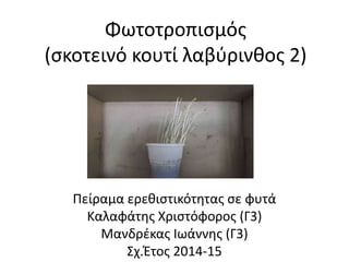 Φωτοτροπισμός
(σκοτεινό κουτί λαβύρινθος 2)
Πείραμα ερεθιστικότητας σε φυτά
Καλαφάτης Χριστόφορος (Γ3)
Μανδρέκας Ιωάννης (Γ3)
Σχ.Έτος 2014-15
 
