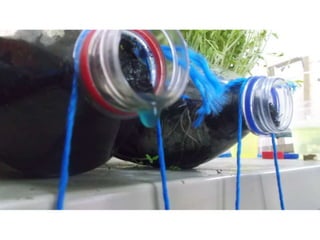 Μελέτη του ρόλου της φυτοκάλυψης στη σταθερότητα του εδάφους και στην εξάπλωση της ρύπανσης.