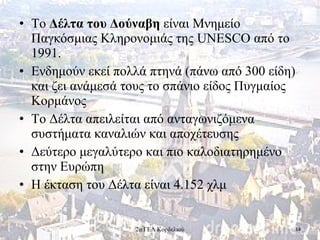 • Το Δέλτα του Δούναβη είναι Μνημείο
Παγκόσμιας Κληρονομιάς της UNESCO από το
1991.
• Ενδημούν εκεί πολλά πτηνά (πάνω από 300 είδη)
και ζει ανάμεσά τους το σπάνιο είδος Πυγμαίος
Κορμάνος
• Το Δέλτα απειλείται από ανταγωνιζόμενα
συστήματα καναλιών και αποχέτευσης
• Δεύτερο μεγαλύτερο και πιο καλοδιατηρημένο
στην Ευρώπη
• Η έκταση του Δέλτα είναι 4.152 χλμ
142ο ΓΕΛ Κορδελιού
 